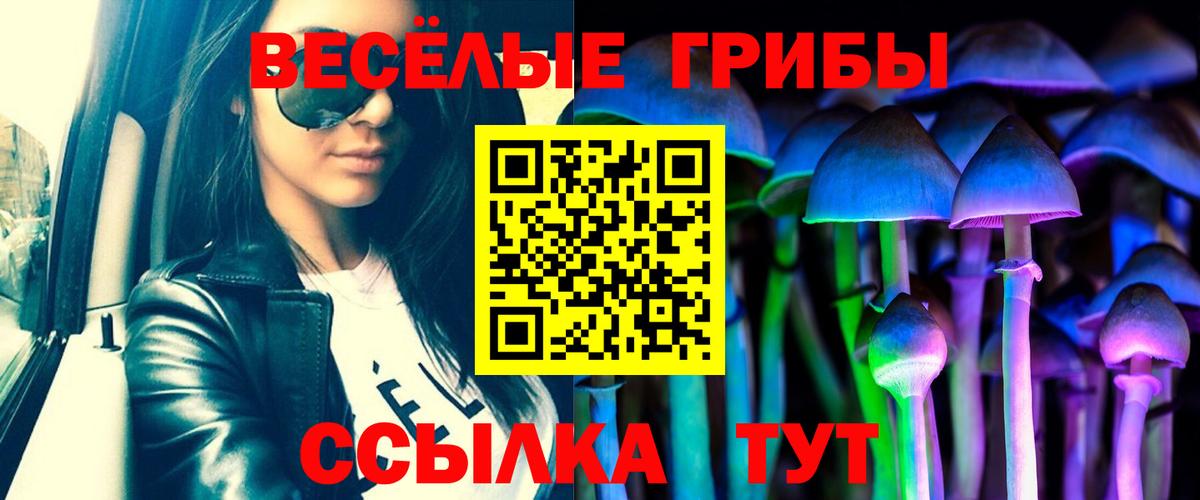 Псилоцибиновые грибы Magic Shrooms Вологда